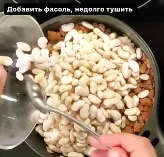 Фасолевый дождевой егэ