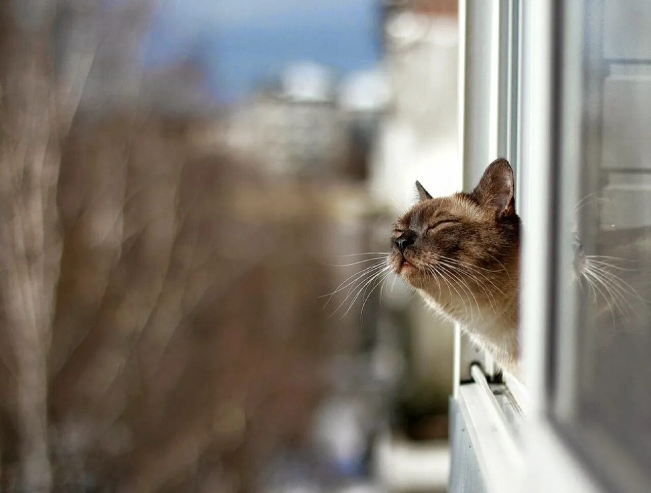 Запахло весной 2023. Запахло весной бутырка. Чувствуется запах весны. Запахло весной 2023. Чую весну.