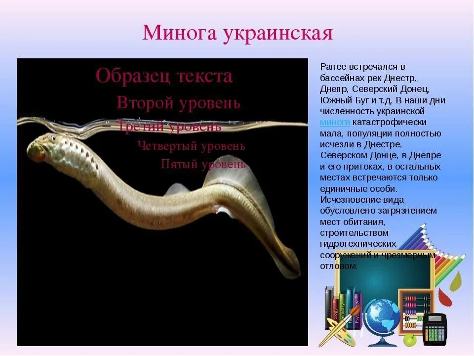 Волк и заяц рыба и минога. Волк и заяц рыба и минога