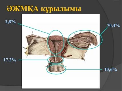 Үйдегі порно видео алғаш рет