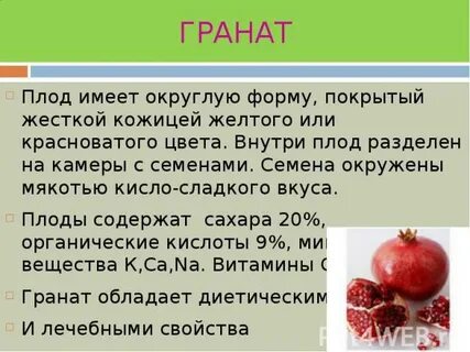 Граната составить слова