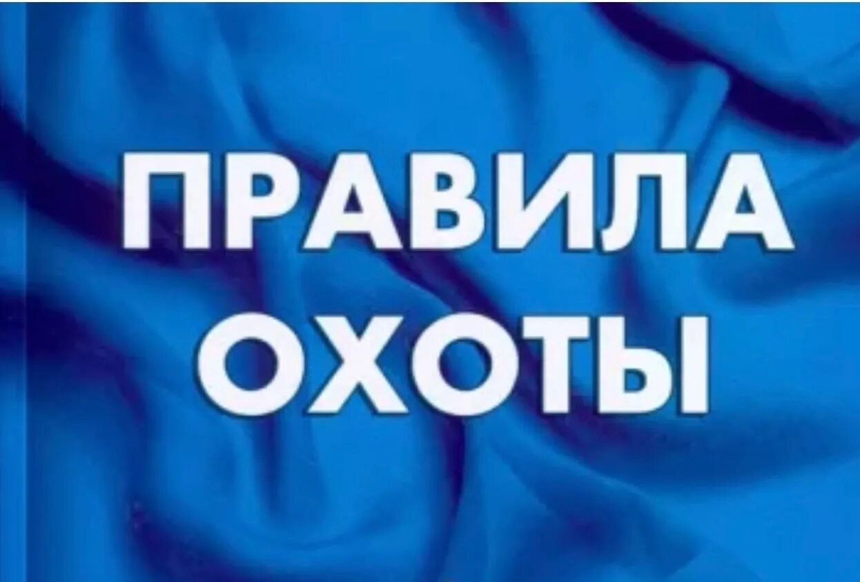 2015 года вступил в. Правила охоты. Правила охоты 2021. Правила охоты 2021 новая редакция правил.