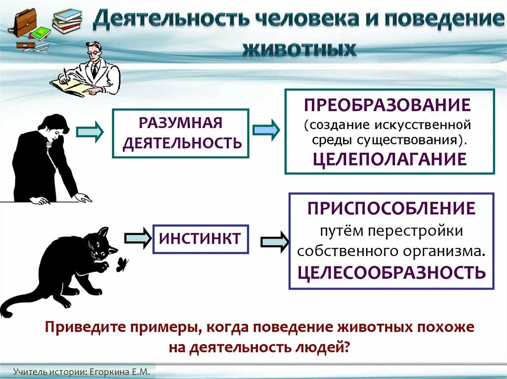 Деятельность человека. Деятельность животных. Деятельность человека и поведение животных. Активность животных и деятельность человека.