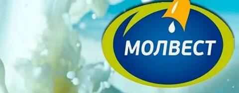 Молвест тендеры