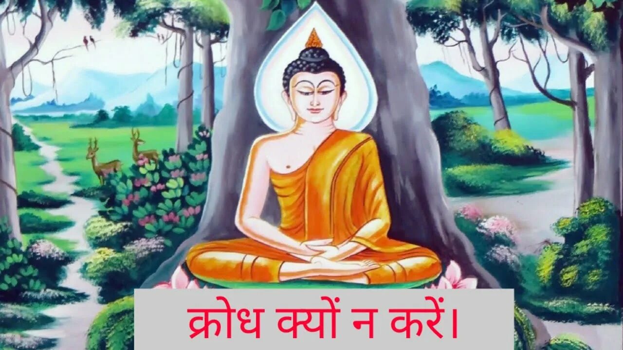 Тест будды. Сиддхартха Гаутама. Будда Гаутама. Сирвата Сиддхартха Гаутама. Будда Пурнима.