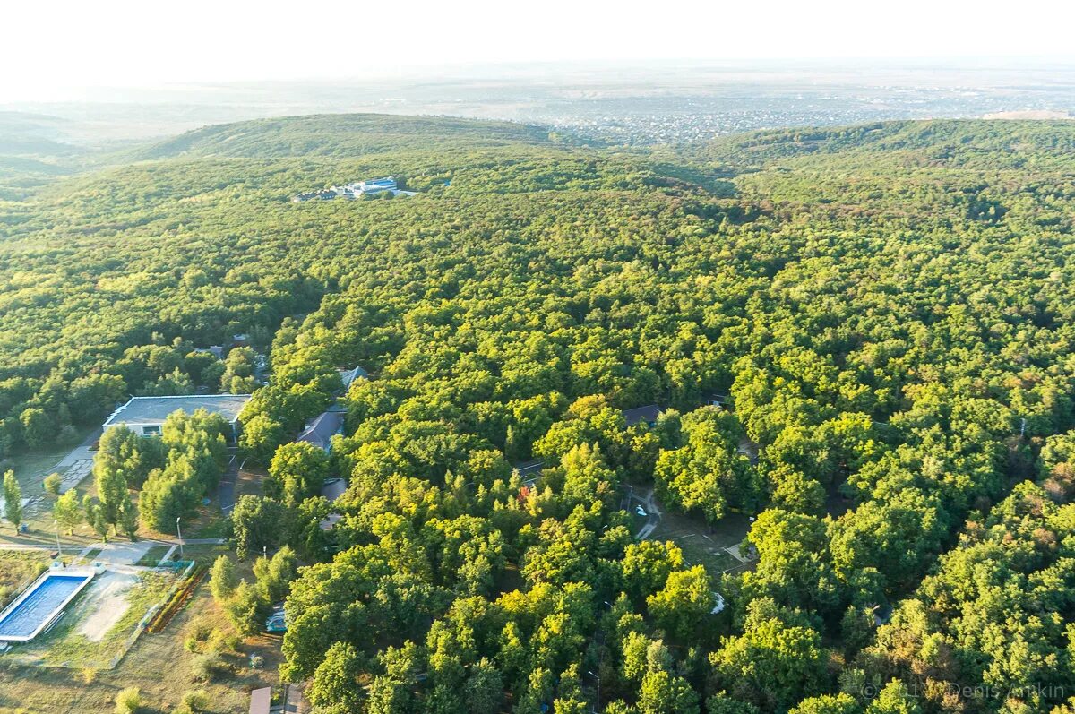 Парк Кумысная Поляна Саратов. Лес Кумысная Поляна Саратов. Кумысная Поляна Саратов гора. Природный парк Кумысная Поляна Саратов леса.