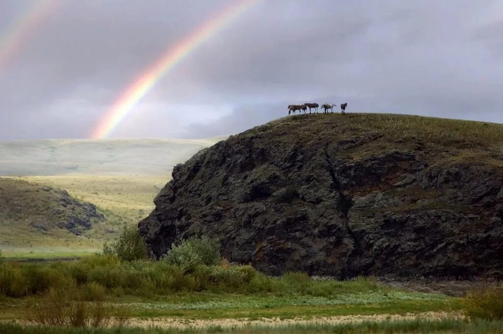 Село просторы Кваркенский район Оренбургская область. Кваркенский район село просторы. Кусем Оренбургская область. Кусем Адамовский район Оренбургской.