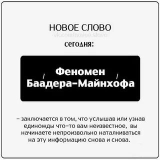 Феномен баадера майнхоф