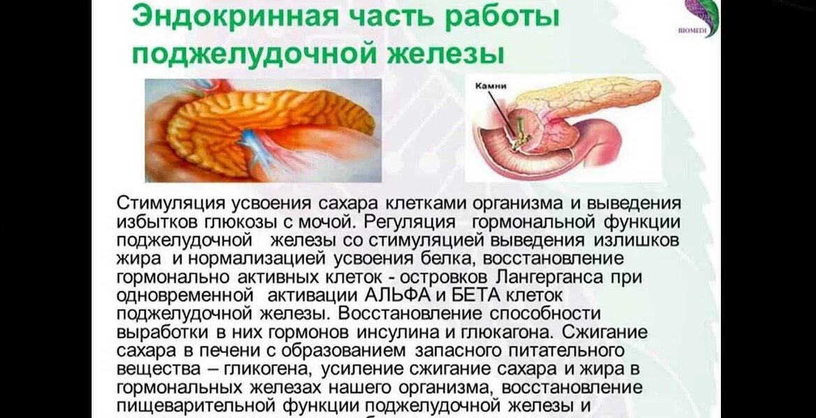 Какой врач лечит поджелудочную железу у взрослых