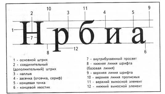 Основные элементы шрифта. Строение буквы в шрифте. Основные и соединительные штрихи в шрифте. Основной штрих в шрифте. Шрифт одинаковой ширины