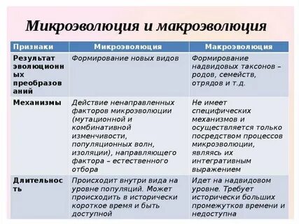 Этапы эволюционного процесса микроэволюция и макроэволюция