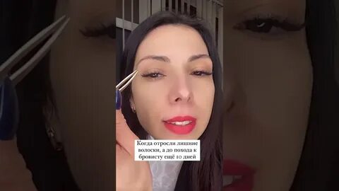 Поход к бровисту