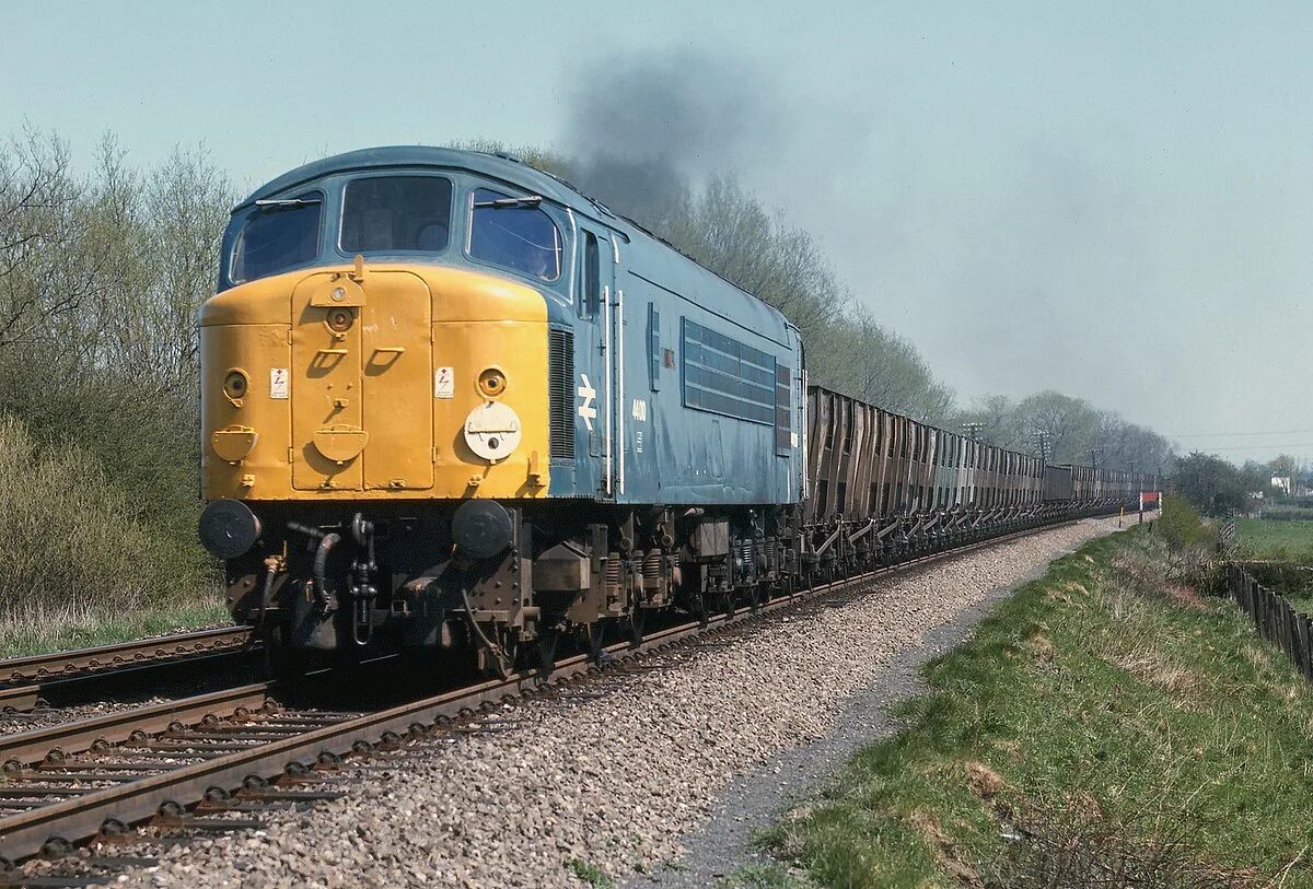 Rail class. Class 44. british rail class 4. тепловоз sra class 44. british rail class 46.