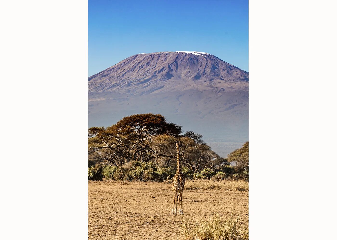 Танзания вулкан Килиманджаро. ВЛК Килиманджаро. Килиманджаро Umbve Caves. Самая высокая вершина Африки вулкан.
