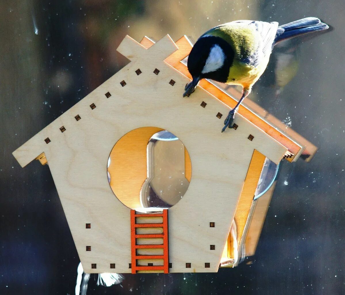 оригинальное название кормушки. кормушка для птиц своими руками в детский сад. кормушка для птиц из веточек. креативная кормушка для птиц. яркая кормушка.