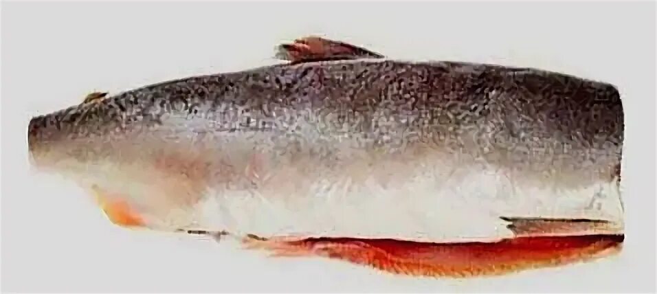 Горбуша непотрошеная. Горбуша сухая. Горбуша сушеная описание. Варианты фасовки филе горбуши. Кета филе пласт.