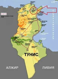 Тунис граница