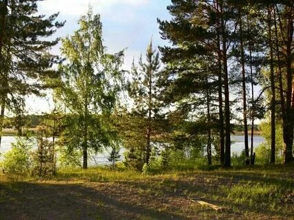 Барышево ленинградская