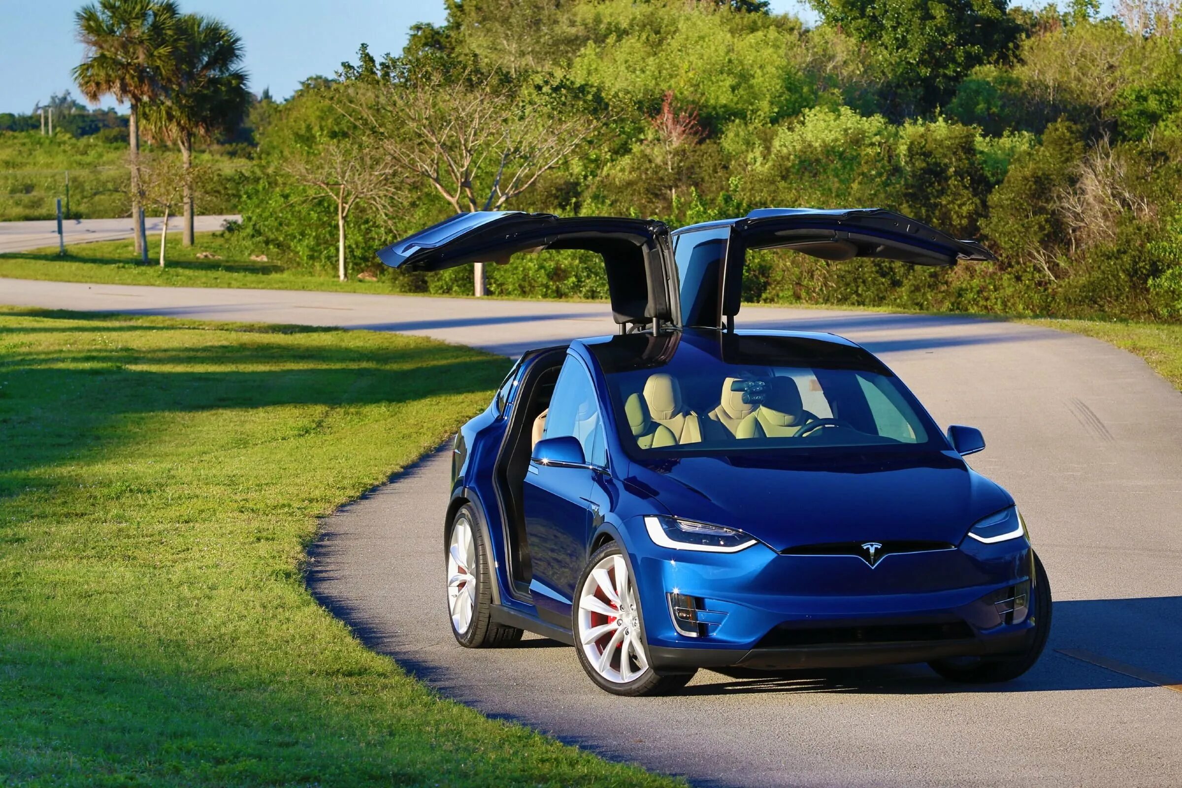 Model 10 6. Tesla model x. tesla_model_x10. tesla model x blue. tesla model x 90d.