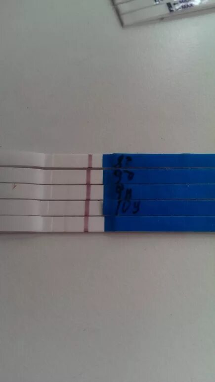 Эвик тест на беременность. 11 ДПП тест. Полоски трехдневок на 11 ДПП. Слабая полоска на 11 ДПП трехдневок.