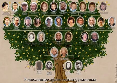 Как узнать кто был в роду