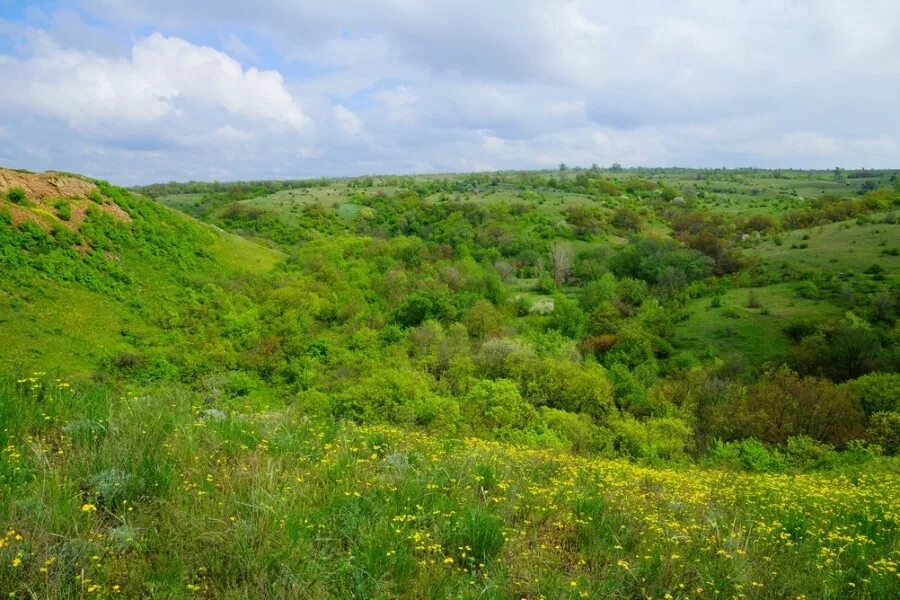 Краснодарский край станица незамаевская. Крутая балка станица Незамаевская. Станица Незамаевская Павловский район Краснодарский край. Станица Незамаевская памятник природы крутая балка. Медвежья балка Майкоп.