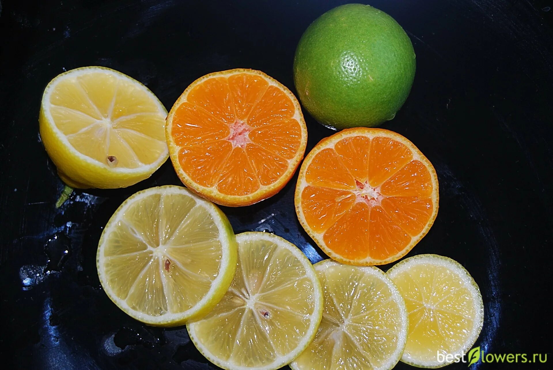 Померанец, бигардия, горький апельсин. Померанец бигарадия. Померанец бигарадия. Померанец, бигардия, горький апельсин. Померанец растение.