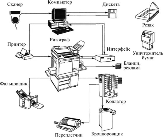 Копирование и размножение. Копирование и размножение