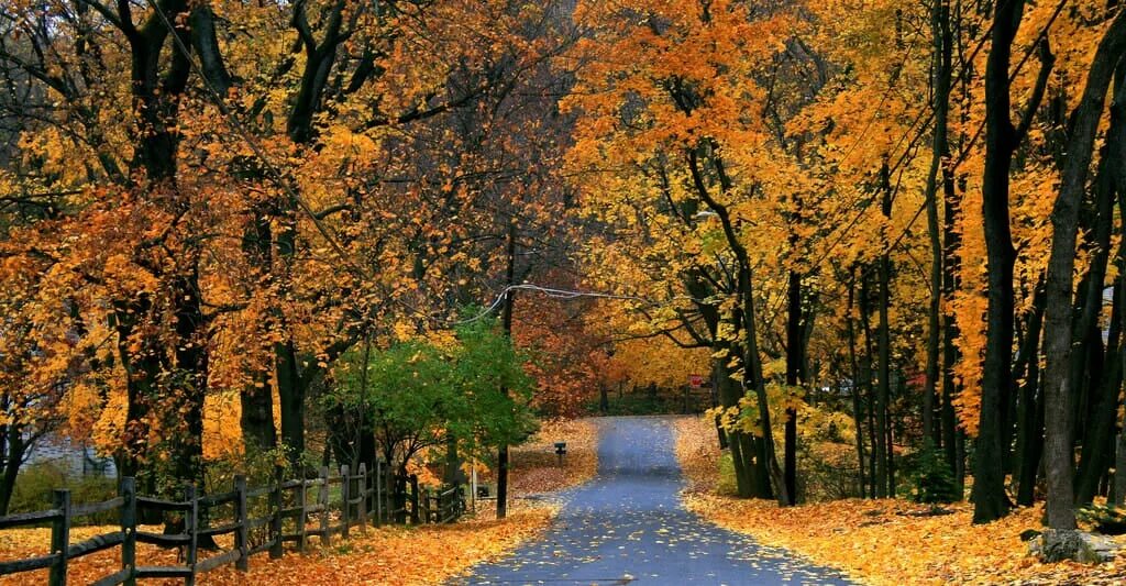 Fall five. Fall pas.