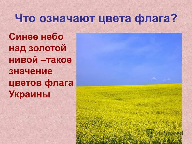 Есть огромная родня. Флаг Украины цвета. Значение цветов флага УК. Что означаетakfu Украины. Что означает флаг Украины.