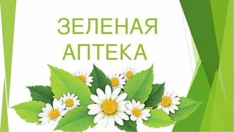 День цветов план