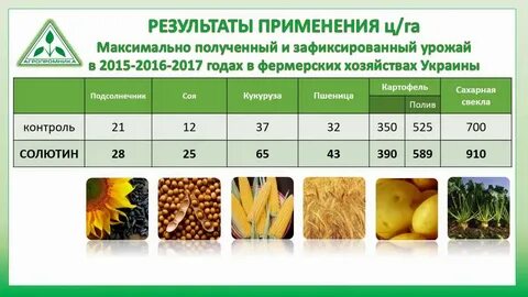 Подсолнечник норма