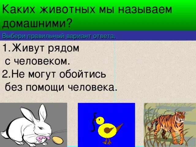 В какой класс объединяют животных имеющих. Какие животные называются домашними. Какими животными называют людей. Каких животных можно назвать домашними. Как называют животных живущих рядом с человеком.