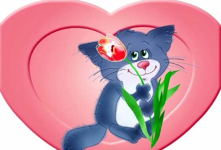 Котик в спа. Картинки коты спасибо. Спасибо котик картинка. Спасибо кот. Картинки коты спасибо.