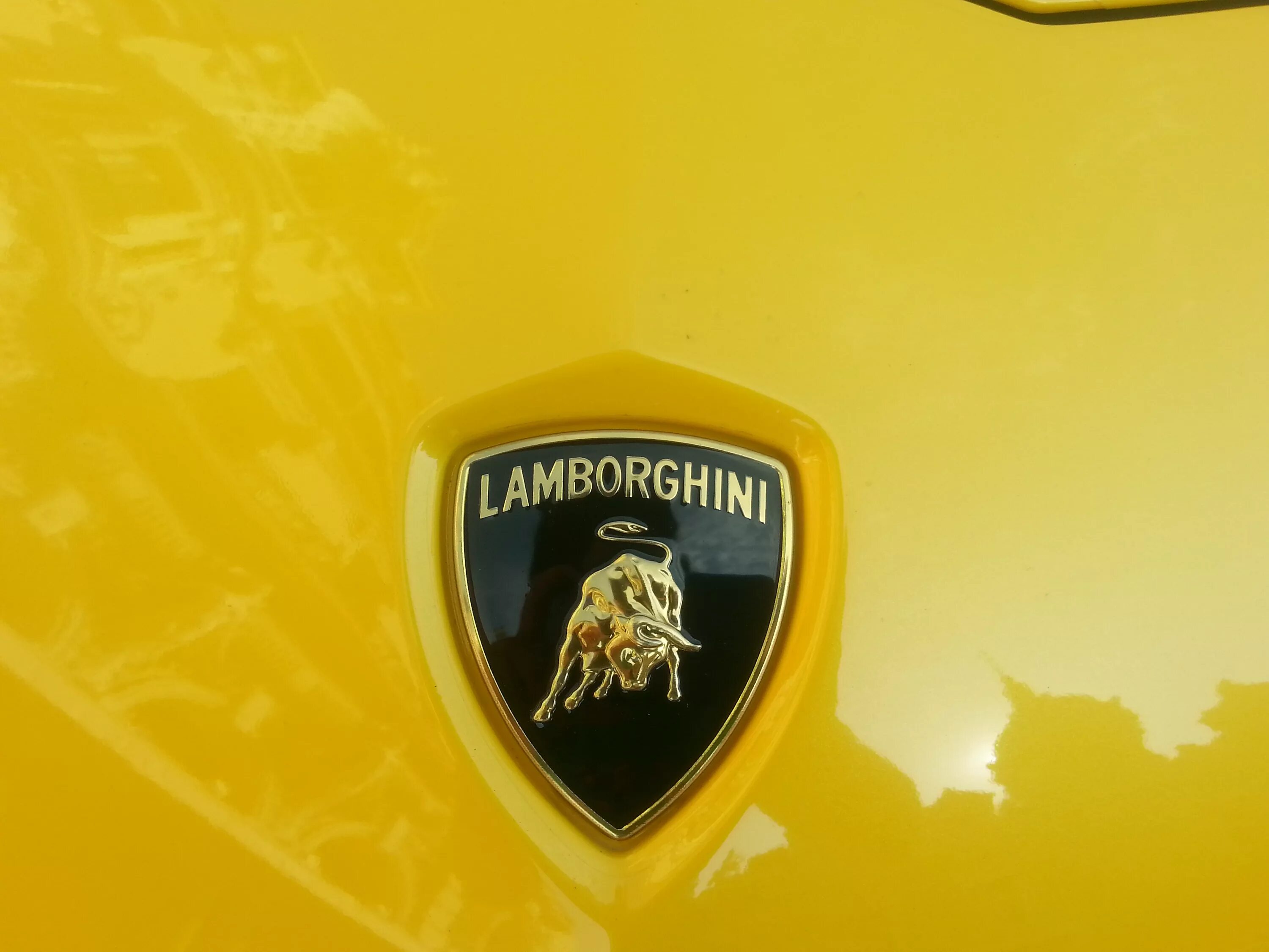 Новый значок ламборгини. Lamborghini знак. Ламборгини лейбл. Ламборджини знак логотип. Золотой логотип Ламборджини.