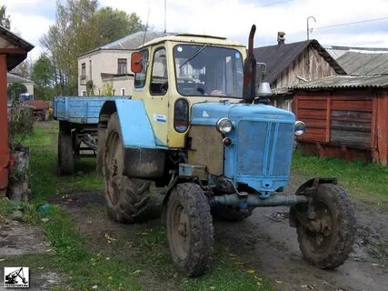 Юмз на новгородская область