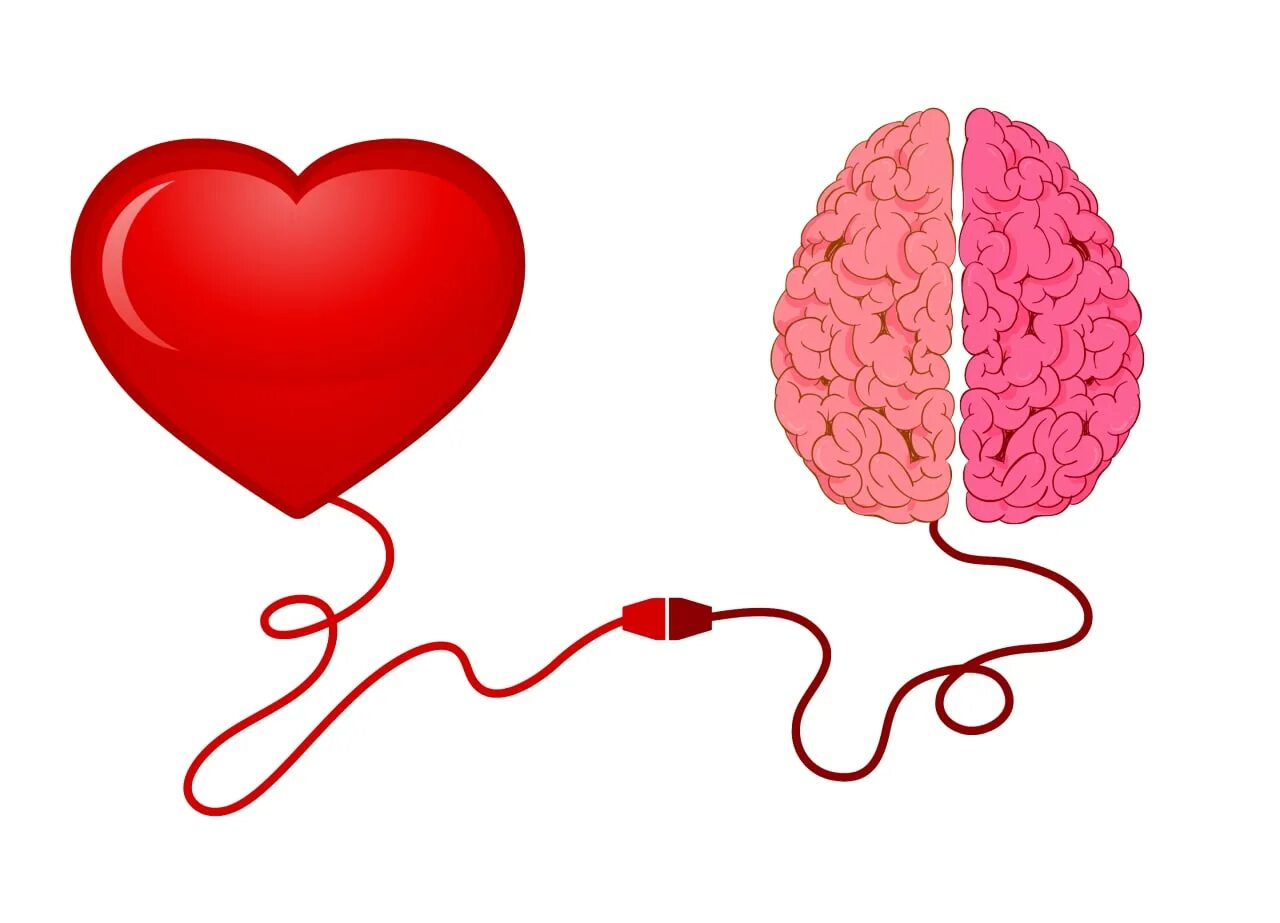 Сердце и легкие одновременно. Ум и сердце. Сердце и легкие одновременно. Сердце в организме человека. Легочное сердце.