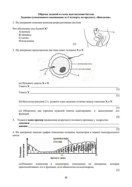 Сор по химии 9 класс 3 четверть. Сор по химии 7 класс 2 четверть. Информатика 2 четверть с ответами 9 класс. Соры и сочи 9 класс 2 четверть. Соч по химии 8 класс 2 четверть с ответами.