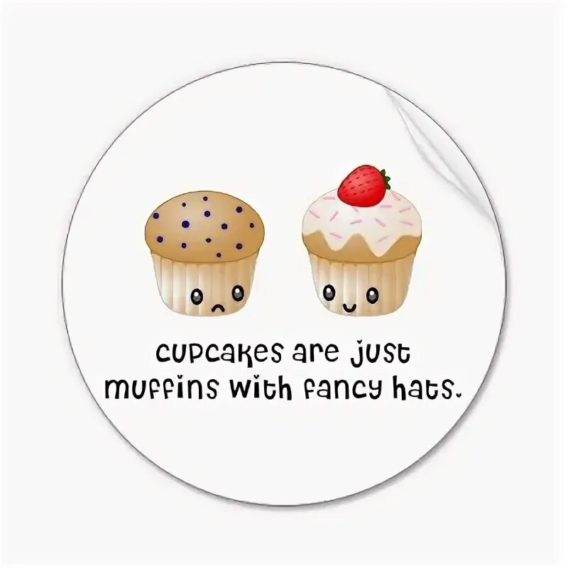 Magic muffin. Muffin vs Cupcake. Magic Muffin лицо. Scone vs bun vs Muffin. Muffin vs Dog.