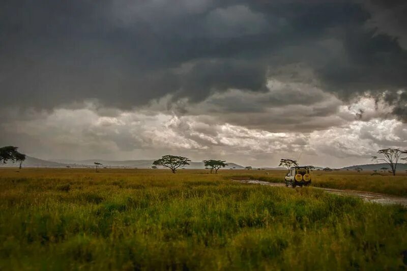 Филиппины дождь. Климат саванны в африке. Климат саванны в африке. Африканская саванна сезон дождей. Дождливый период.