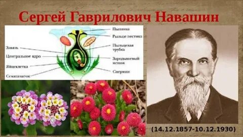 Сообщение о жизни и научной деятельности навашина