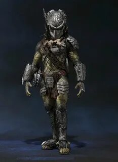 S predators