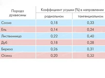 Сколько сохнет береза