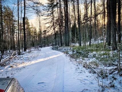 Закрытие дорог ленинградская область