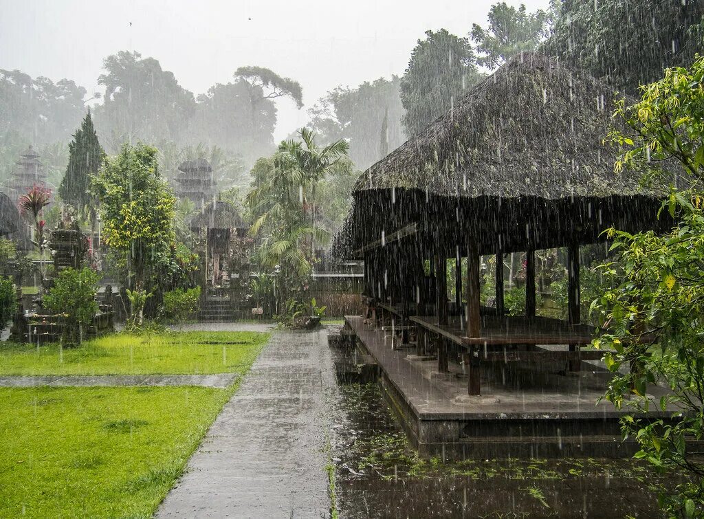 Город долгих дождей. Дождь Бали Убуд. Убуда Бали климат. Денпасар 2022.