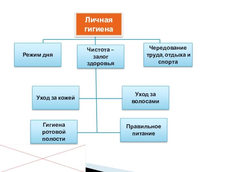 Правила организации и гигиены. Личная гигиена. Личначная гигиена персонала на предприятии. Личная гигиена работников. • Организация личной гигиены.