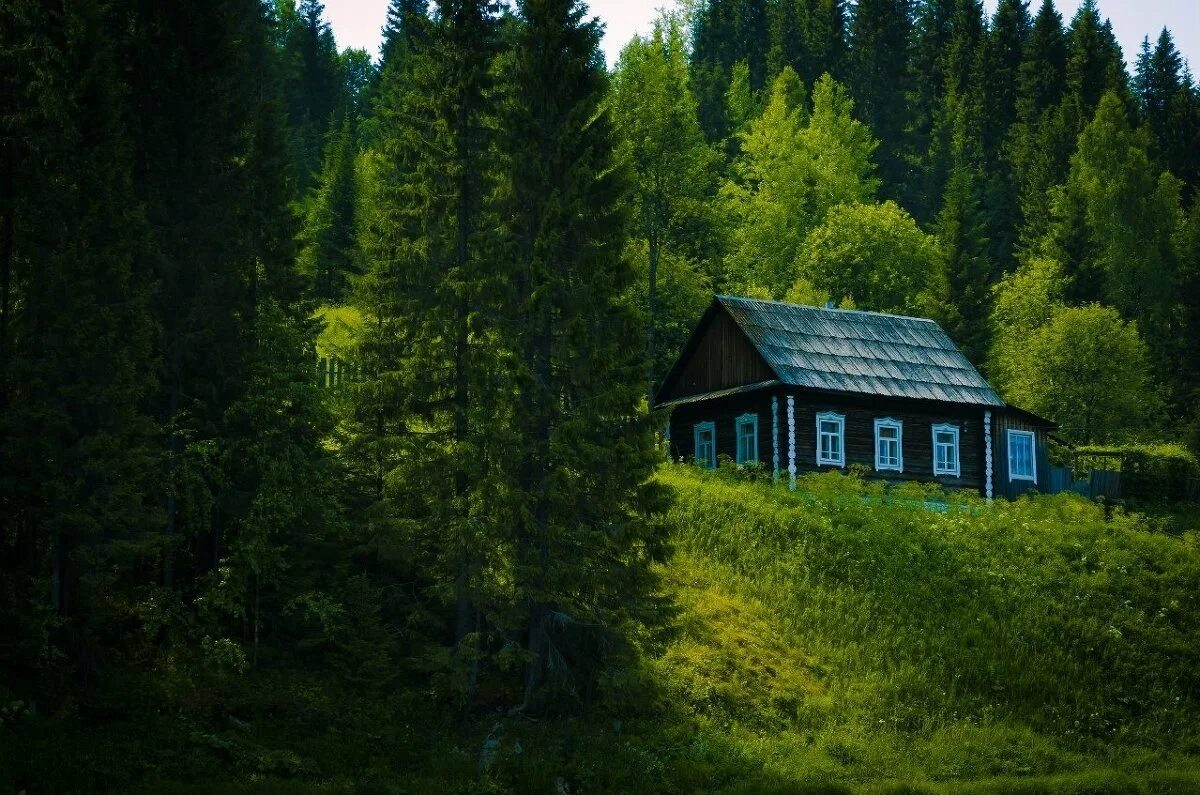 Домик в лесу летом. Лесная Хижина Финляндия. Боровецкий лес дом отшельника. Шварцвальд дом в лесу. Дом лесника Сибиряк.