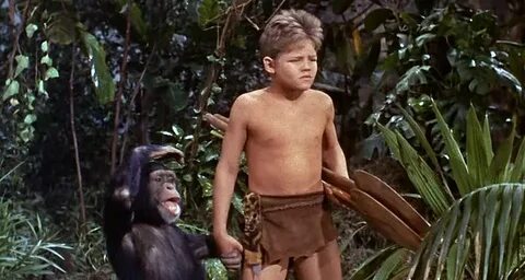 Jungle boys