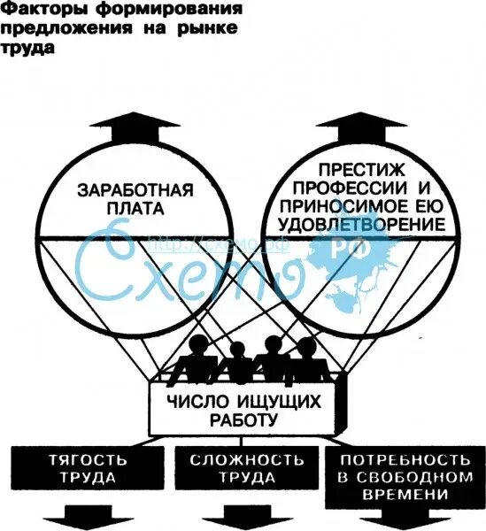 Формирование предложения на рынке труда. Формирование предложения на рынке труда