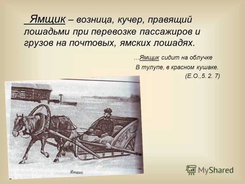 Как называется кучер